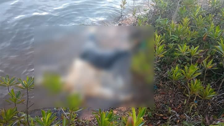 Breaking News: Mayat Perempuan Ditemukan Mengambang di Waduk Sei Ladi