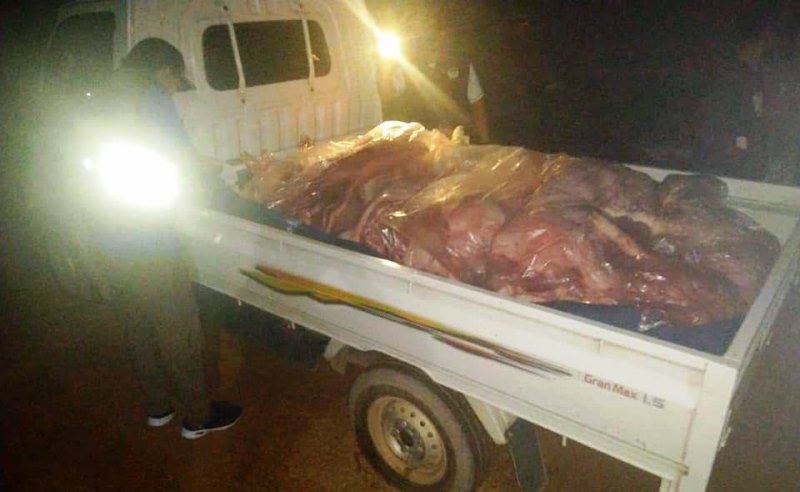Waspada ASF, Patroli Karantina Tanjungpinang Periksa Pikap Pengangkut Daging Babi