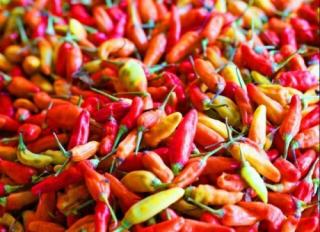 Harga Cabai Setan di Batam Makin Kesetanan, Dekati Rp 100 Ribu/Kg