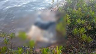 Breaking News: Mayat Perempuan Ditemukan Mengambang di Waduk Sei Ladi