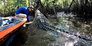 Warga Dimangsa Buaya, Camat Bulang dan BKSDA Ambil Tindakan