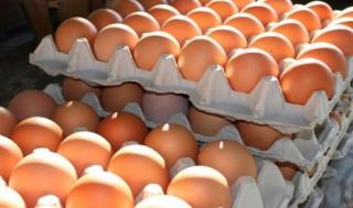 Harga Telur Ayam Melonjak Tinggi di Karimun, Pemerintah Tak Tahu Penyebabnya