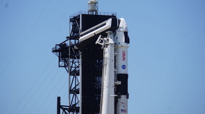 Elon Musk Optimis 5 Tahun Lagi SpaceX Terbangkan Manusia ke Mars