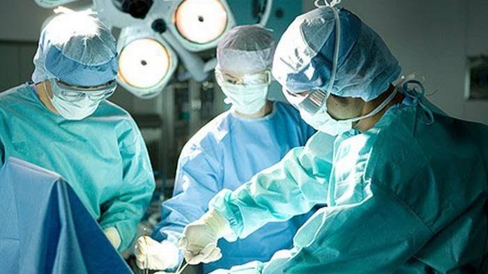 Setelah Jantung, Ahli Bedah AS Sukses Transplantasi Ginjal Babi ke Manusia
