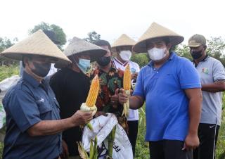Roby Yakin Pertanian Bintan Berkembang oleh Petani Milenial