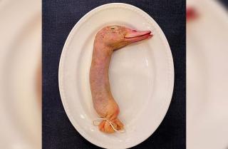 Dinilai Ekstrem, Netizen Kecam Menu Kepala Bebek di Restoran Inggris