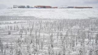 Warga Siberia Temukan Bayi dalam Kotak Telur, di Cuaca Minus 20C