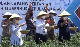 Jaga Stabilitas Inflasi, BI Berdayakan Petani Cabai Karimun Tingkatkan Produksi