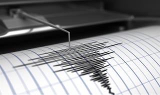 Gempa Guncang Afghanistan, 26 Orang Tewas