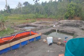 Diskan Lingga Beri Ribuan Bibit Lele dan Nila ke Ponpes Desa Sei Besar