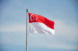 Demam Berdarah Jadi Ancaman Nyata di Singapura