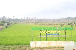 DPKP Lingga Susun Perda LP2B Kejar Insentif Pemerintah Sektor Pertanian