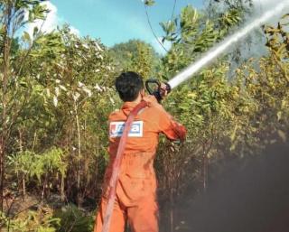 Padamkan Kebakaran 1 Hektare Lahan, Mobil Damkar Bintan Rusak