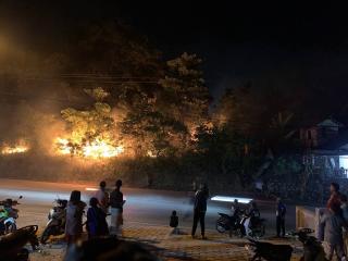 Kebakaran Lahan di Karimun Diselidiki Polisi