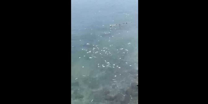 Limbah Alat Tes Antigen Berserakan di Pantai Selat Bali
