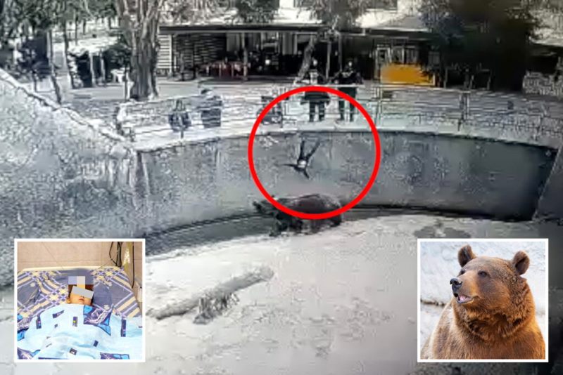 Terekam CCTv, Seorang Ibu Lempar Anaknya ke Kandang Beruang 
