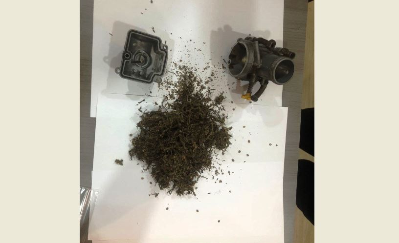 Ganja Dalam Sparepart Motor Terendus Anjing Pelacak Bea Cukai Batam