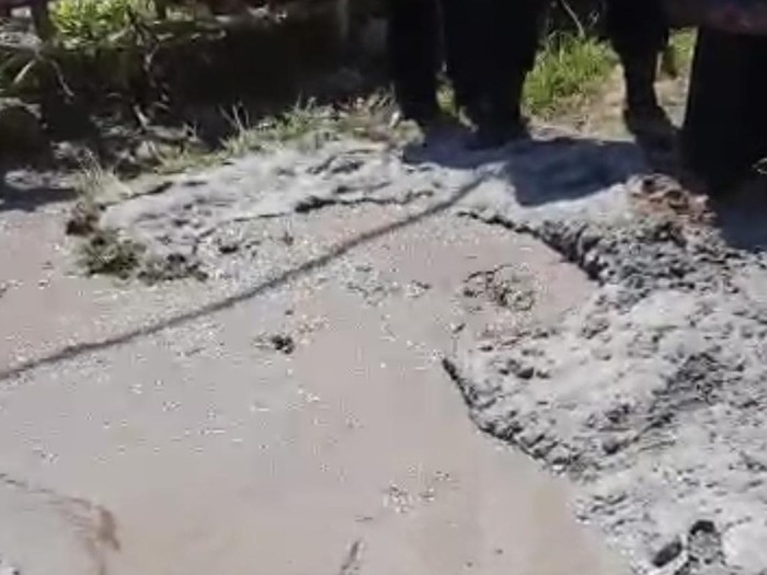 Usai Gempa, Semburan Lumpur Muncul di Sejumlah Titik Pasaman Sumbar