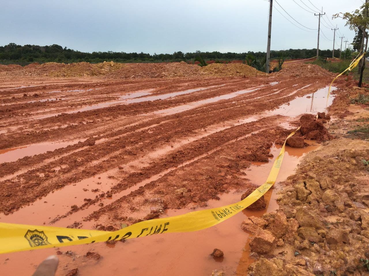 Dua Lokasi Penimbunan Bakau di Bintan Diduga Tak Berizin, Satu Sudah Disegel