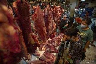 Harga Daging Sapi