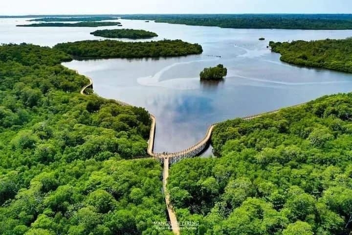 Natuna Kini Punya Objek Wisata Mangrove Terluas di Kepri