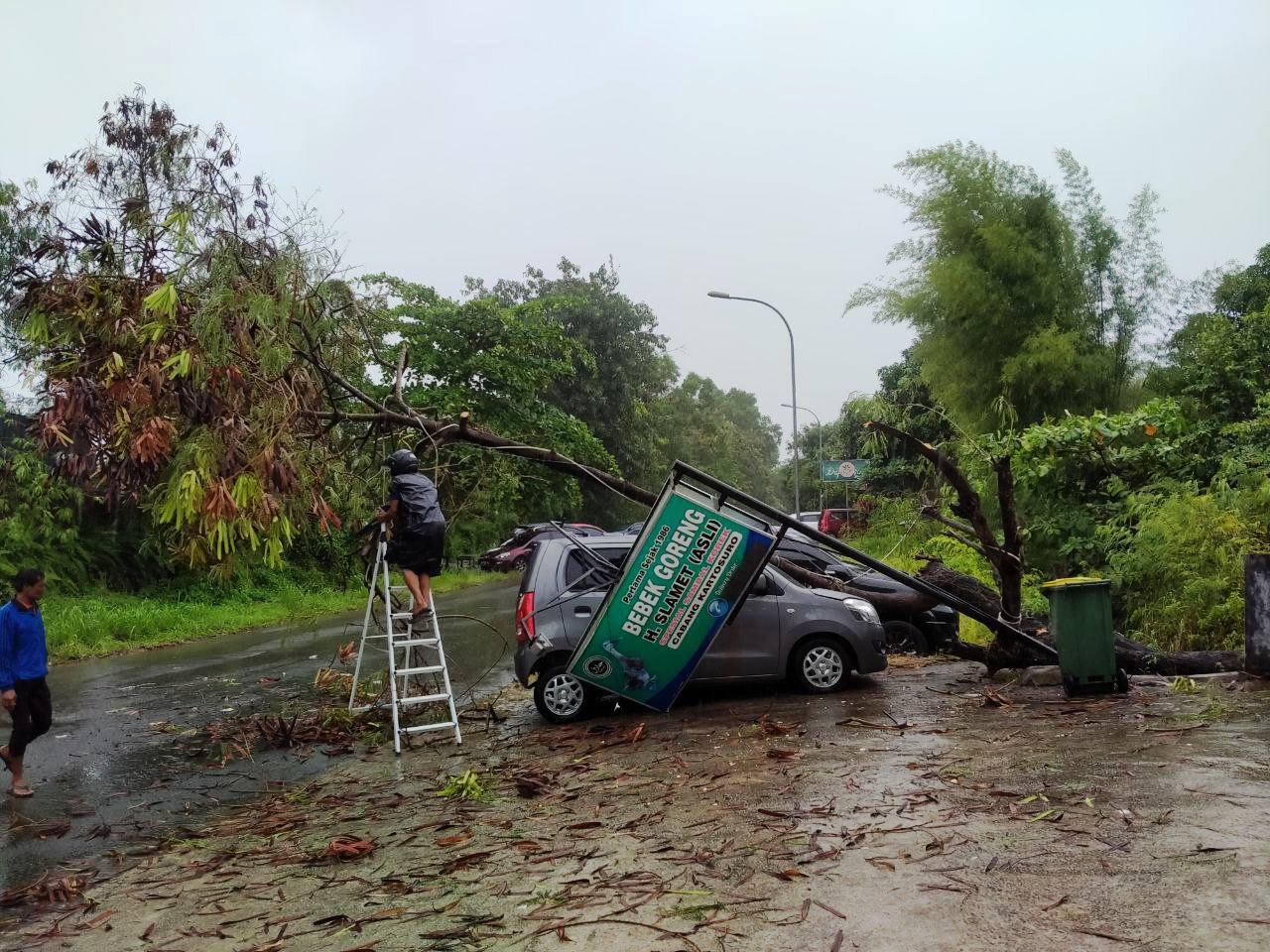 Cuaca Ekstrem, Pohon Tumbang Timpa Mobil di Batam Center