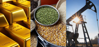 Lonjakan Harga Komoditas di Indonesia-Peluang Besar Bagi Investor?