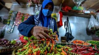 Harga Cabai di Batam Makin 
