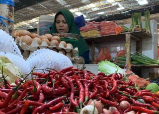 Harga Cabai di Karimun Merangkak Naik, Tembus Rp 70 Ribu/Kg
