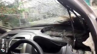 Viral Dashboard Mobil sampai Meleleh Gegara Korek Gas Meledak