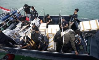 Bea Cukai Kepri Gagalkan Penyelundupan Benih Lobster Senilai Rp 14 Miliar