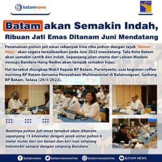 INFOGRAFIS: Ribuan Pohon Jati Emas Bakal Ditanam di Batam
