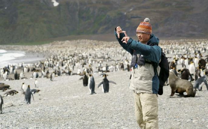 Workcation di Ujung Dunia, Ngitungin Penguin Antartika