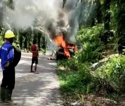 Sebuah Truk Tiba-tiba Terbakar saat Melintasi Perkebunan Sawit di Bintan