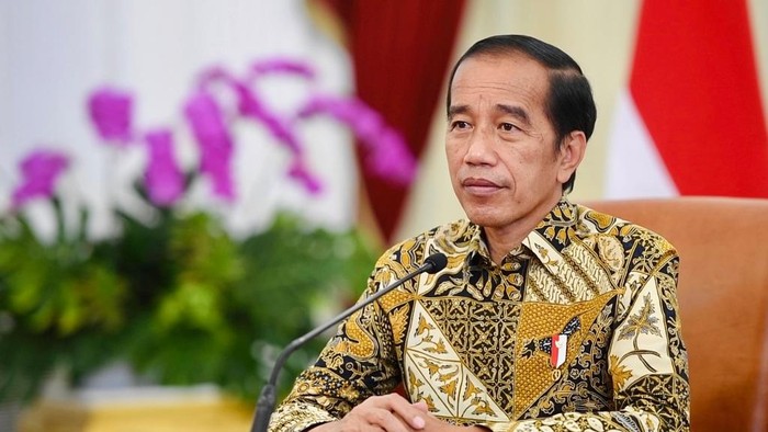 Jokowi Ungkap Isi Percakapan Telepon dengan Putin