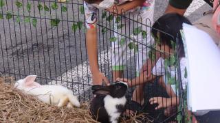 Batamnews Ramadhan Fair: Ada Mini Zoo hingga Beragam PameranÂ 