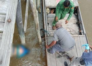 Mayat Perempuan Warga Nias Terapung di Perairan Merbau, Begini Penjelasan Polisi