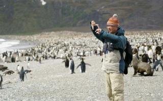 Workcation di Ujung Dunia, Ngitungin Penguin Antartika
