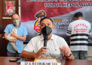 Kucing Himalaya juga Jadi incaran Maling di Batam