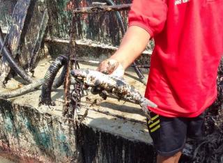 Limbah Minyak Cemari Perairan Karimun Picu Ikan-ikan Mati, Ini Diduga Penyebabnya
