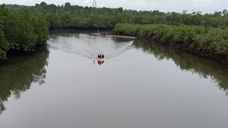 Tim SAR Buru Buaya Pemangsa Gadis Cilik di Bintan, Jasadnya Belum Ditemukan
