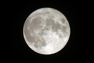 Ilmuwan Sukses Tanam Sawi Pakai Tanah dari Bulan