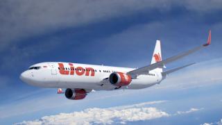 Penerbangan Lion Air Dialihkan Usai Tabrak Burung di Udara