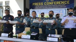 Penyelundupan Benur senilai Rp 46,7 M ke Vietnam Digagalkan TNI AL