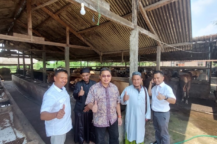 Dewan Pantau Kondisi Hewan Kurban di Lampung Jelang Dikirim ke Kepri