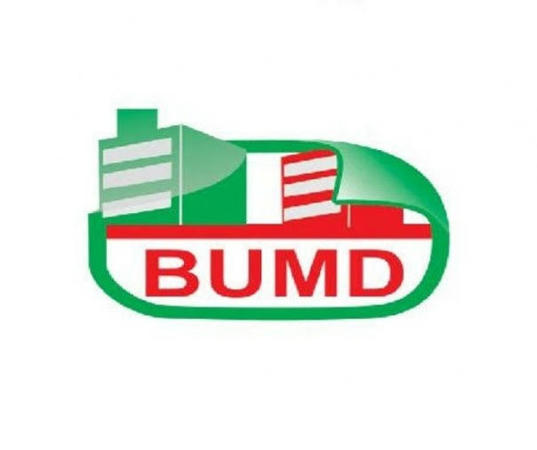 Tak Jeli Tangkap Peluang Bisnis, Anggota DPRD Kepri: Tutup Saja BUMD