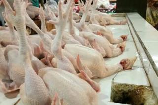 Restoran Ternama di Singapura Tutup Imbas Malaysia Setop Ekspor Ayam