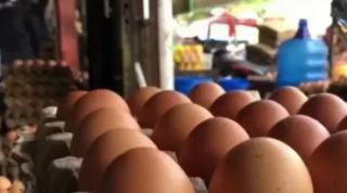 Dugaan Penyebab Harga Telur dan Daging Ayam Meroket di Bintan
