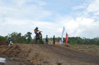Rocky Bawole Cari Bibit Crosser Muda di Karimun
