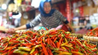 Disperindag Karimun Ungkap Penyebab Melonjaknya Harga Cabai